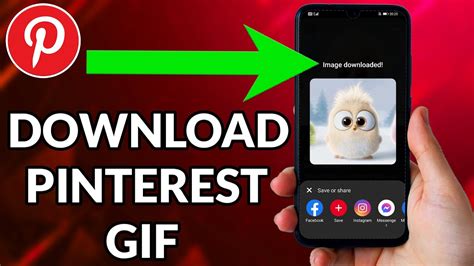 download gif pinterest|pinterest video download without watermark.